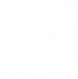 gallery/vizitka blck tigr
